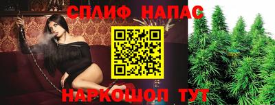 apvp Коммунар